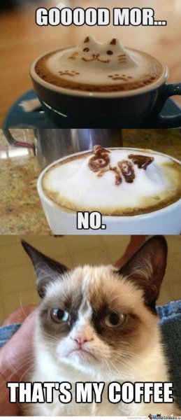 Кофе Мем с котом