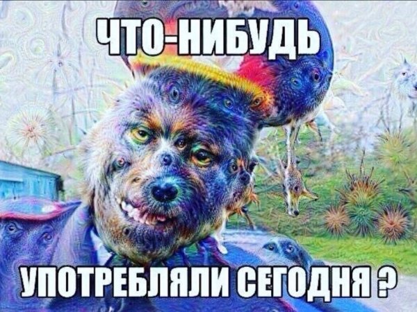 Негр мент