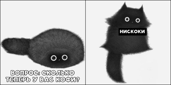 Кофий черный кот