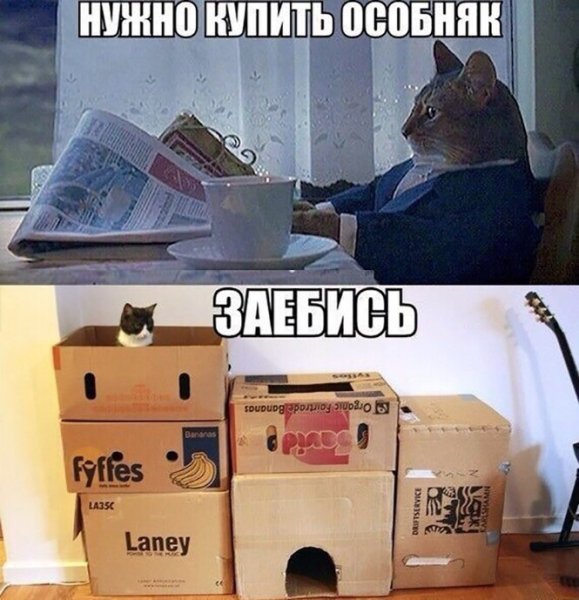 Мемы про газеты