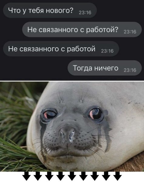 Тюлень плачет