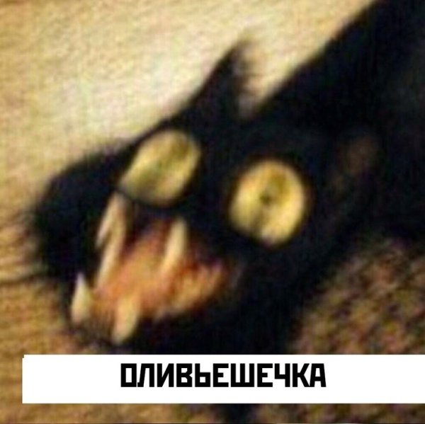 Сухарики кот