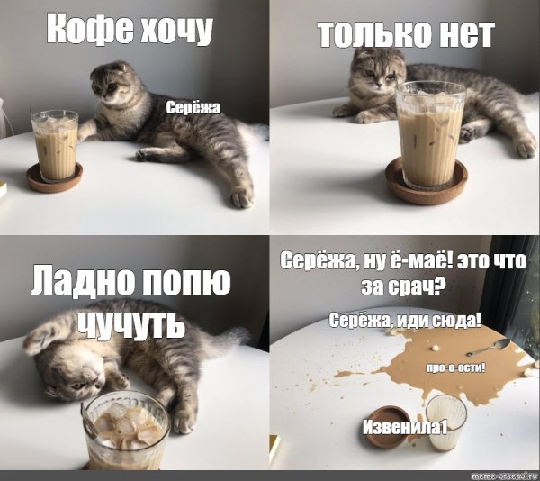 Котик хочет кофе