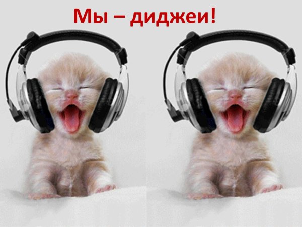 Котенок с наушниками