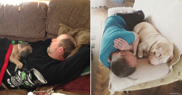 Папа был против собаки