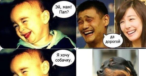 Мама купи собаку