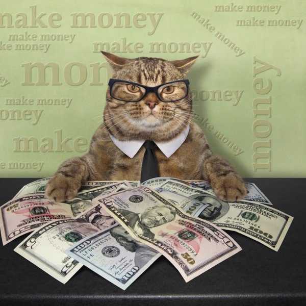 Коты с деньгами
