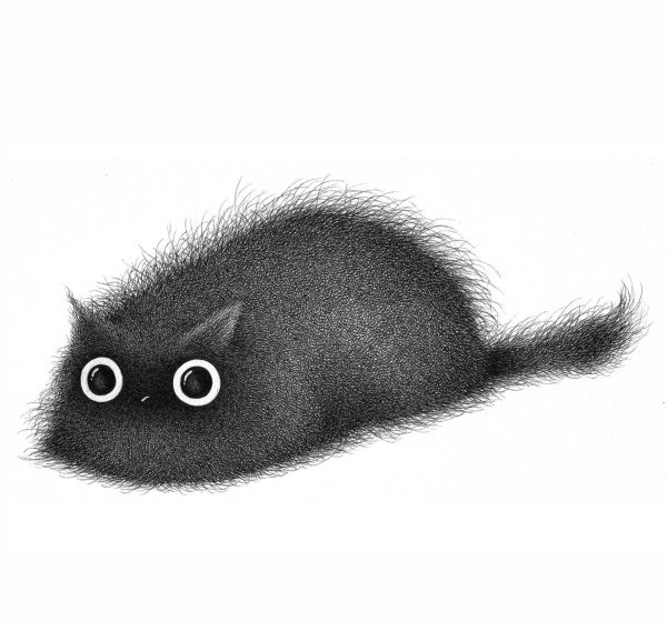 Коты мемы нарисованные