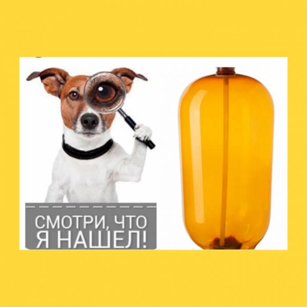 Собака и пивная кега