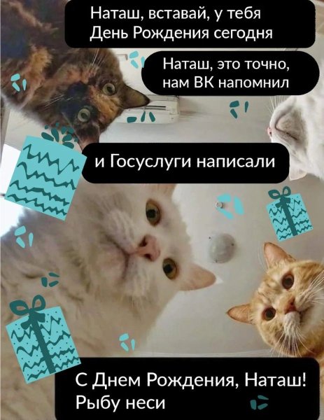 Наташа с днём рождения котики
