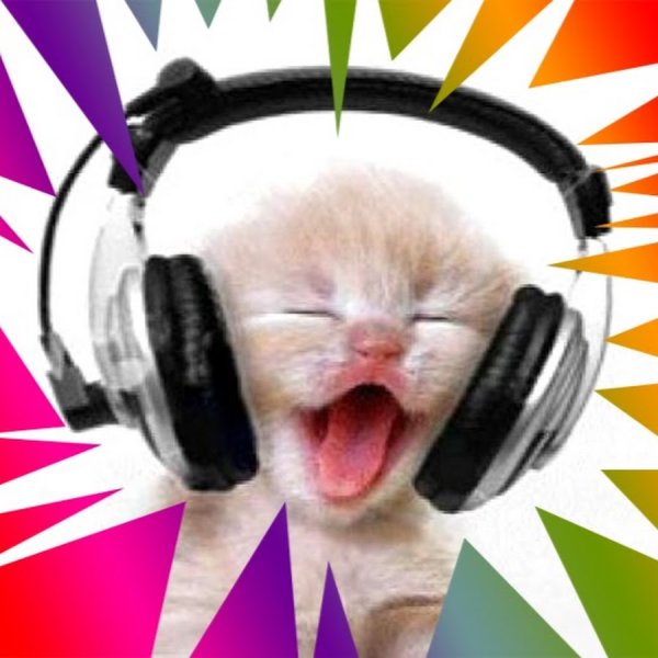 Котенок в наушниках