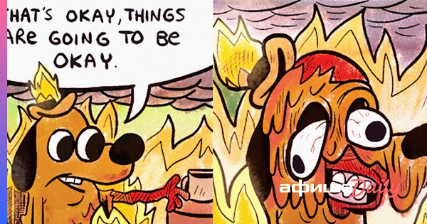 Собака в огне