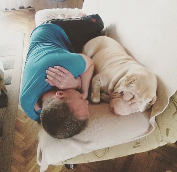 Папа собака