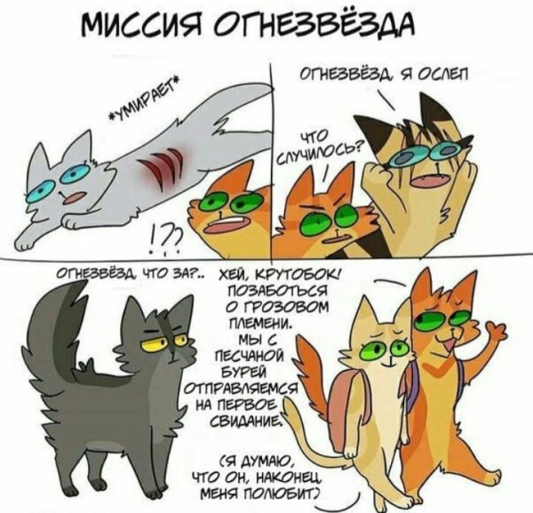 Коты Воители Огнезвёзд приколы