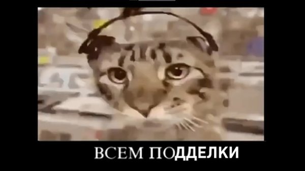 Всеми похуй всем похуй