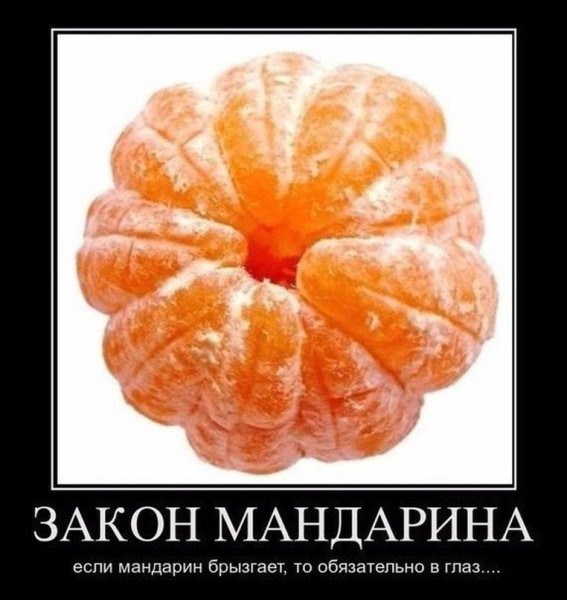 Мандарины новый год