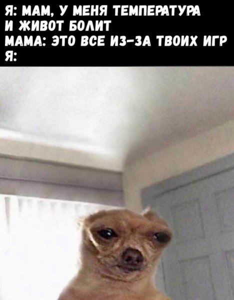 Мем с собакой и бутылкой