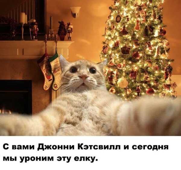 С вами был Джонни Кэтсвилл