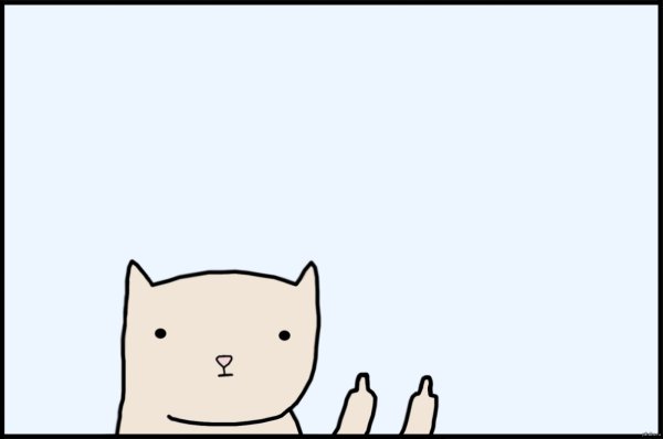 Кот с факом