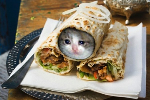 Кот в лаваше