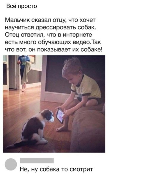 Папа не хотел собаку