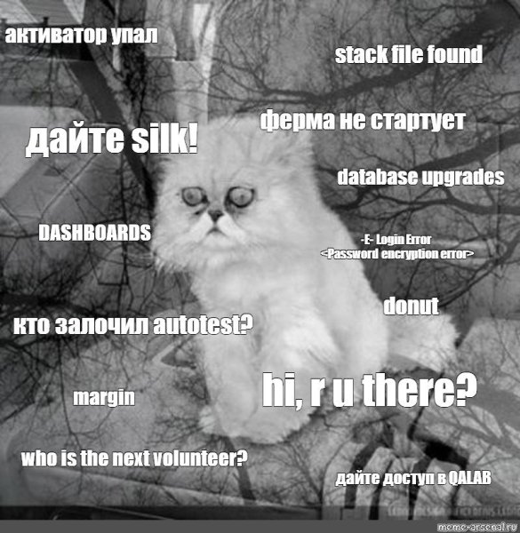 Кот упал Мем