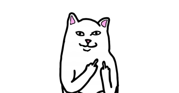 Кот с факом