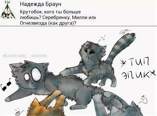 Коты Воители Огнезвёзд и Крутобок