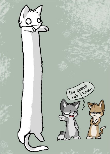 Длинный кот арт