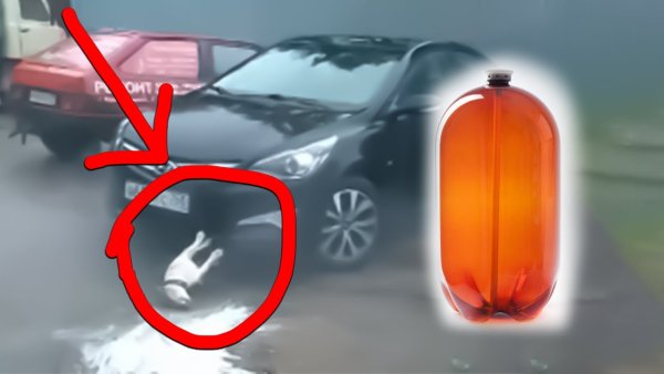 Кега пива и собака