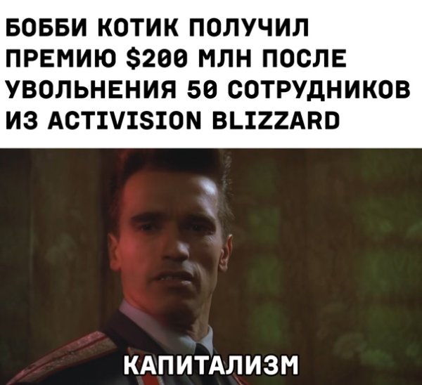 Бобби котик грустный