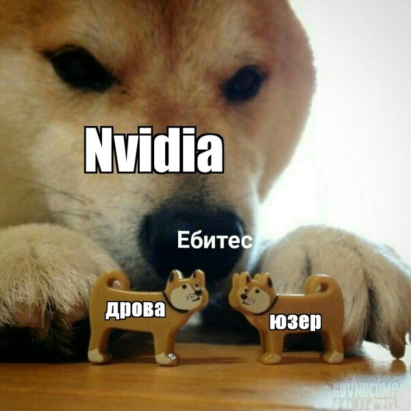 Сиба ину ебитес