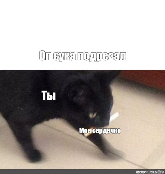 Кот бежит Мем