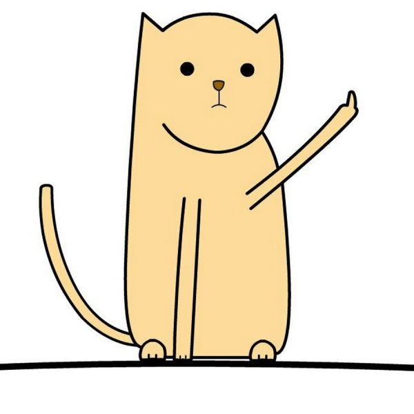 Котик с факом