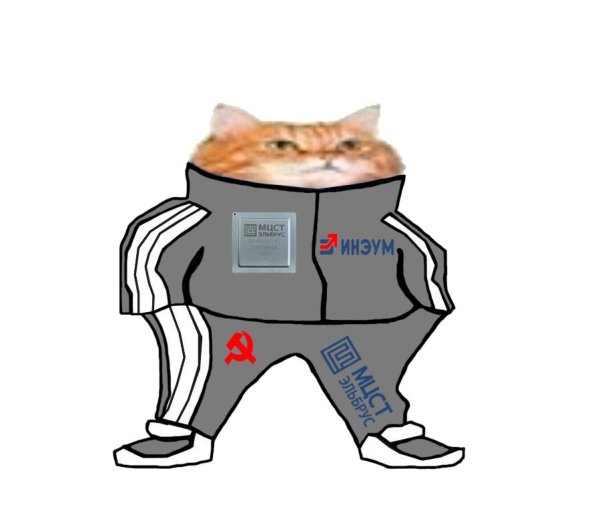 Котик в спортивном костюме