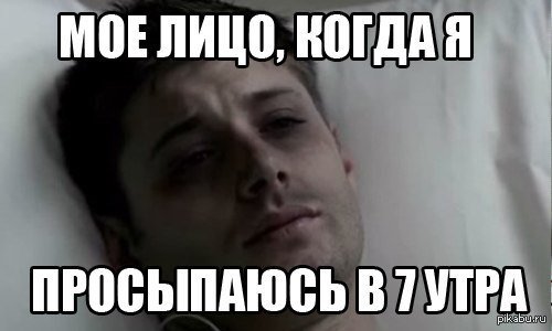 Проснулся Мем