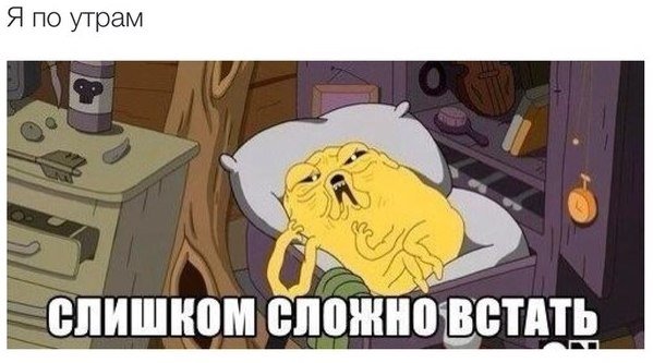 Проснулся с утра Мем