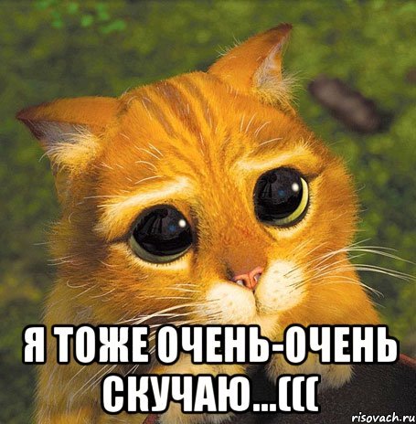 Я тоже скучаю по тебе