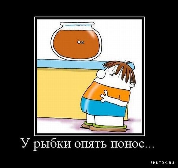 Понос демотиватор