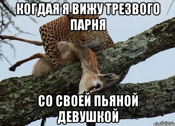 Мемы про бухих