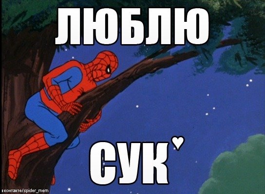 Люблю сук человек паук