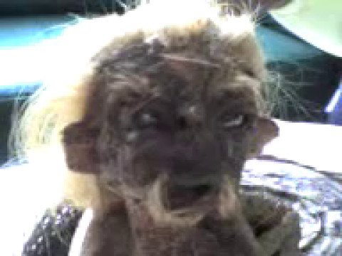 Наказание Аллаха крыса