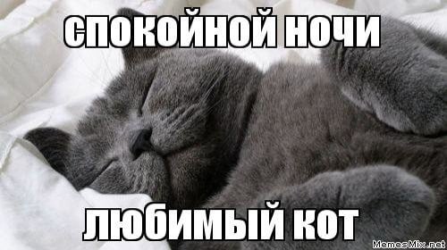 Спокойной ночи котику любимому