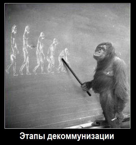 Эволюция из обезьяны в человека