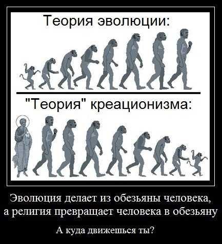 Шутки про эволюцию