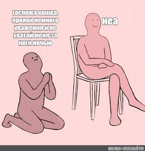 Мемы про госпожу