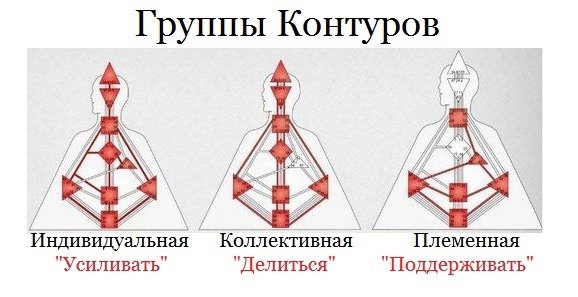 Коллективный контур в дизайне человека