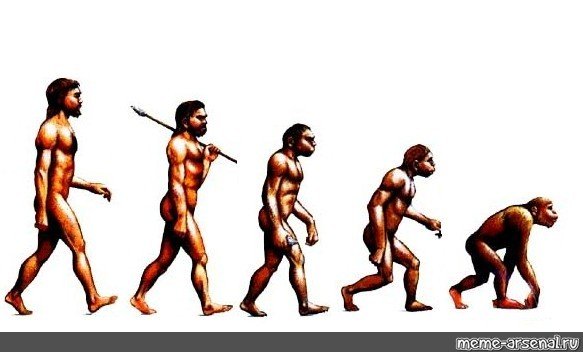 Эволюция человека до хомо сапиенс