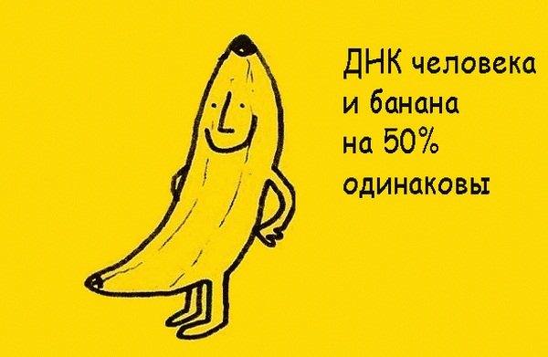 Смешной банан