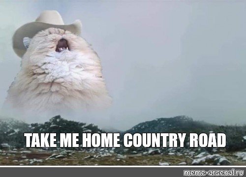 Орущий кот в шляпе